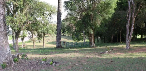 Terreno / Lote / Condomínio para venda ou aluguel, 2100m² no Colônia Rio Grande, São José dos Pinhais