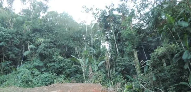 Terreno / Lote / Condomínio à venda, 112000m² no Vargem Grande, Águas Mornas