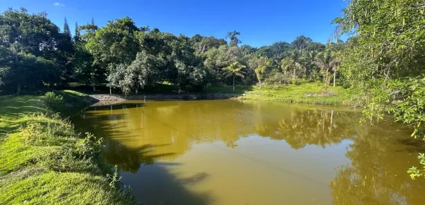 Fazenda / Sítio / Chácara com 6 Quartos à venda, 40000m² no , Chã Grande
