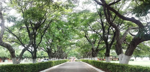Terreno / Lote / Condomínio à venda, 800m² no Condomínio Residencial Village da Serra, Araçoiaba da Serra