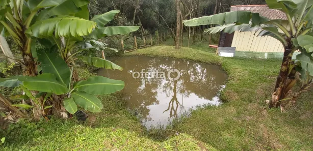 Fazenda / Sítio / Chácara com 3 Quartos à venda, 200m² no Área Rural de Araucária, Araucária
