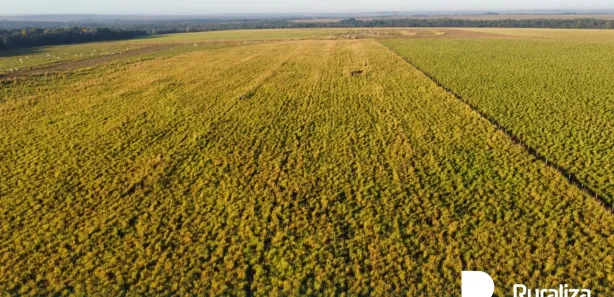 Fazenda / Sítio / Chácara à venda, 304m² no , Guaraí