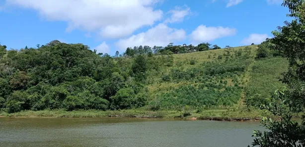 Fazenda / Sítio / Chácara com 2 Quartos à venda, 90m² no , Pilar do Sul
