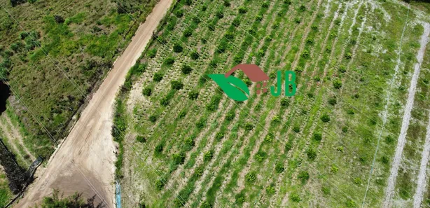 Fazenda / Sítio / Chácara com 2 Quartos à venda, 160000m² no Mata Redonda, Alhandra