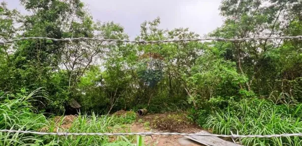 Terreno / Lote Comercial à venda, 356000m² no Colônia Antônio Aleixo, Manaus