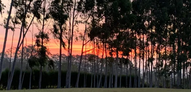 Fazenda / Sítio / Chácara com 3 Quartos à venda, 200m² no , Sarapuí