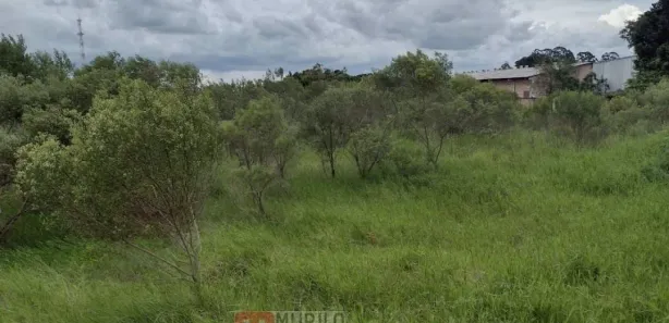 Terreno / Lote / Condomínio à venda, 15000m² no Eucaliptos, Fazenda Rio Grande