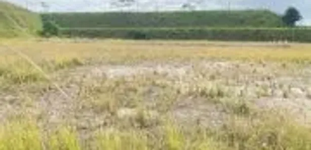 Galpão / Depósito / Armazém para alugar, 5000m² no Cabiúnas, Macaé