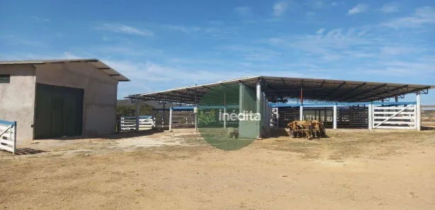 Fazenda / Sítio / Chácara à venda, 1520000m² no Área Rural de Novo Gama, Novo Gama
