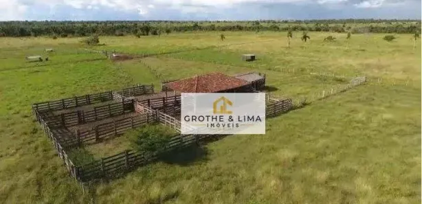 Fazenda / Sítio / Chácara com 7 Quartos à venda, 400m² no Centro, Bernardo Sayão