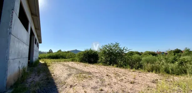 Galpão / Depósito / Armazém com 2 Quartos à venda, 1500m² no Diácono João Luiz Pozzobon, Santa Maria