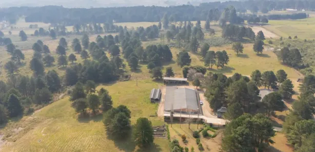 Terreno / Lote / Condomínio à venda, 348098m² no São Luiz do Purunã, Balsa Nova