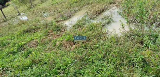 Fazenda / Sítio / Chácara com 3 Quartos à venda, 200m² no Centro, Esmeraldas