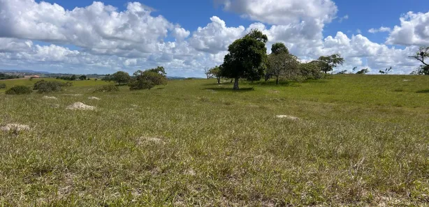 Fazenda / Sítio / Chácara à venda, 45000m² no , Sairé