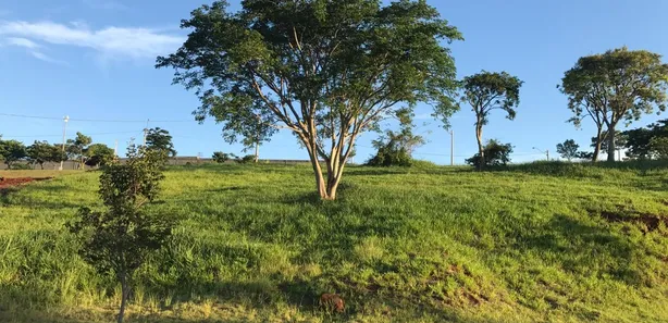 Terreno / Lote / Condomínio à venda, 800m² no Morato, Piracicaba