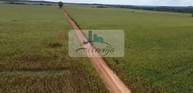 Fazenda / Sítio / Chácara à venda, 3455m² no , Lagoa da Confusão