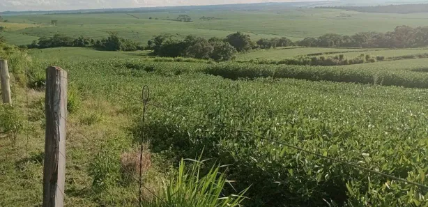 Fazenda / Sítio / Chácara à venda, 193600m² no Centro, Bela Vista do Paraíso