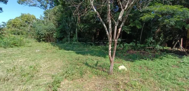 Galpão / Depósito / Armazém para alugar, 60m² no Água Vermelha, São Carlos