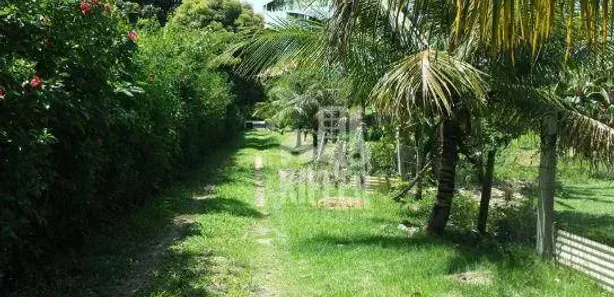Fazenda / Sítio / Chácara com 5 Quartos à venda, 273m² no Manoel Ribeiro (Ponta Negra), Maricá