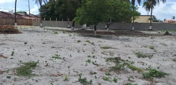 Fazenda / Sítio / Chácara com 3 Quartos à venda, 2000m² no Santa Rita, Marechal Deodoro