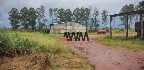 Fazenda / Sítio / Chácara à venda, 29999772m² no , Pedro Afonso