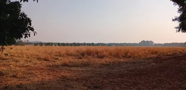 Fazenda / Sítio / Chácara com 2 Quartos à venda, 1880000m² no Ponte Alta Norte, Brasília