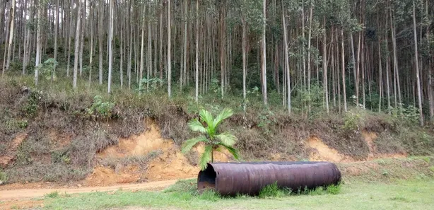 Fazenda / Sítio / Chácara com 2 Quartos à venda, 5660000m² no Fumaça, Resende