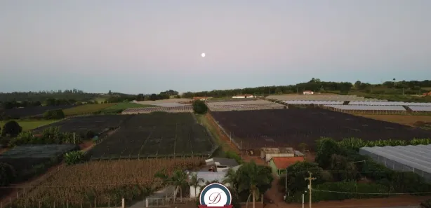 Fazenda / Sítio / Chácara com 3 Quartos à venda, 21767m² no , Sarapuí