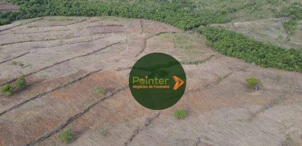 Fazenda / Sítio / Chácara à venda, 4927725m² no , Pium