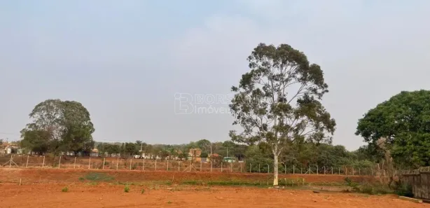 Terreno / Lote / Condomínio para alugar, 4424m² no Vila Nossa Senhora Aparecida, Araraquara