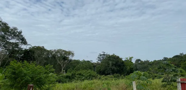 Terreno / Lote / Condomínio à venda, 96680m² no Tarumã, Manaus