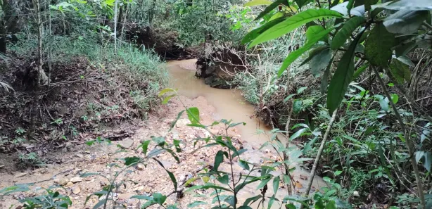 Fazenda / Sítio / Chácara à venda, 12000m² no Conjunto Habitacional Conceição Gomes Rabelo, Santo Antônio do Descoberto