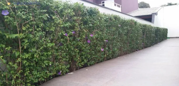 Prédio Inteiro à venda, 341m² no Centro, Louveira