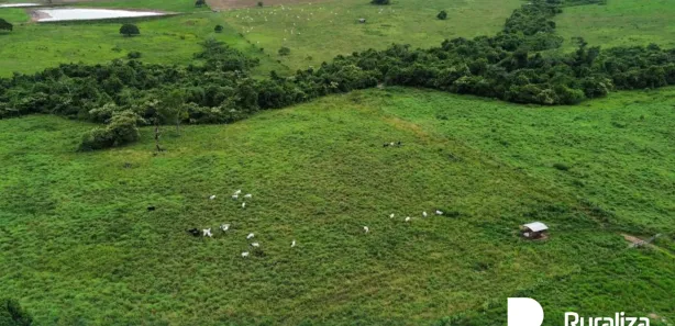 Fazenda / Sítio / Chácara à venda, 1016m² no , Arapoema