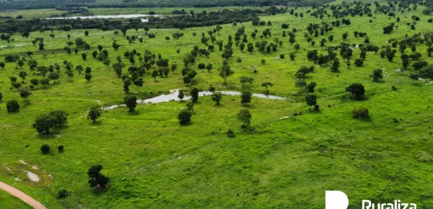 Fazenda / Sítio / Chácara à venda, 816m² no , Formoso do Araguaia