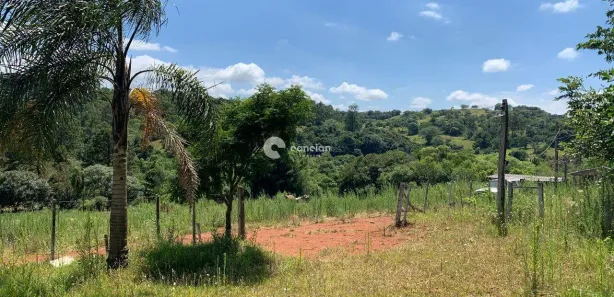 Fazenda / Sítio / Chácara à venda, 10000m² no , Santa Maria