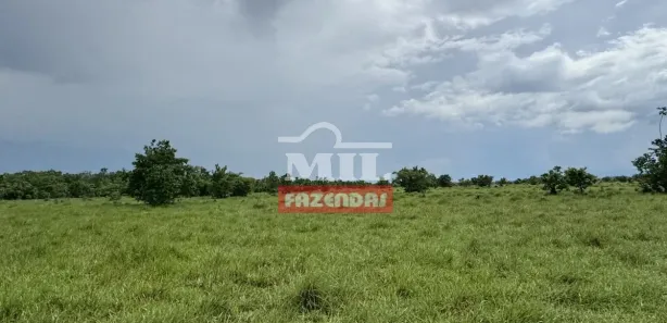Fazenda / Sítio / Chácara à venda, 500m² no , Formoso do Araguaia
