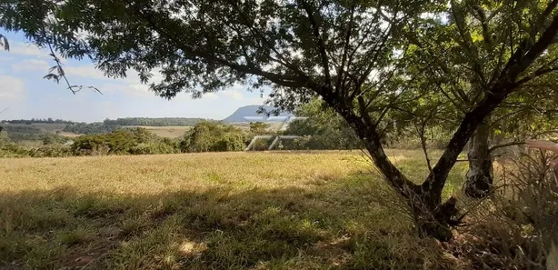 Fazenda / Sítio / Chácara à venda, 40753m² no Centro, Ipeúna