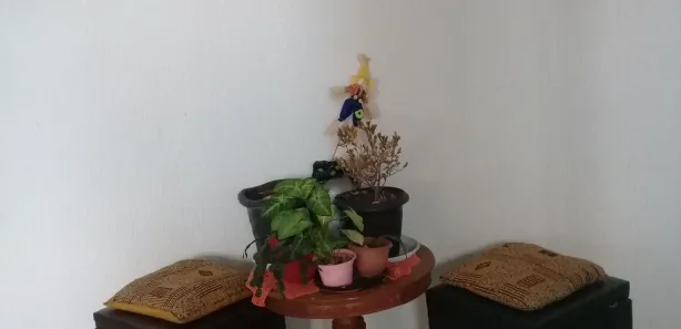 Apartamento com 2 Quartos à venda, 49m² no Parque Boa Esperança, São Paulo