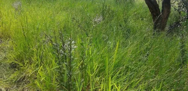 Terreno / Lote / Condomínio à venda, 2800m² no Saboó, São Roque