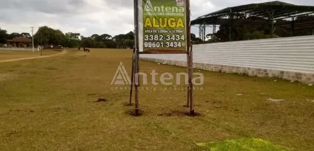 Terreno / Lote / Condomínio para alugar, 5000m² no Ipê, São José dos Pinhais