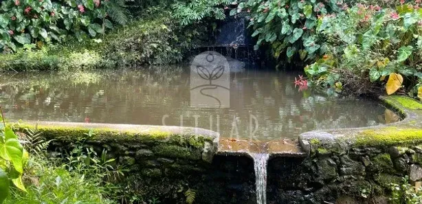 Fazenda / Sítio / Chácara com 3 Quartos à venda, 175000m² no , São Lourenço da Serra