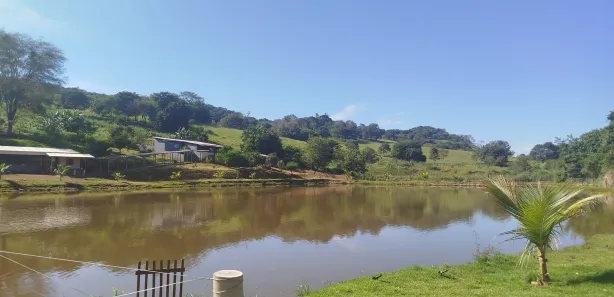 Fazenda / Sítio / Chácara com 3 Quartos à venda, 24000m² no , Nerópolis