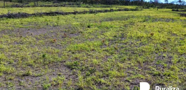 Fazenda / Sítio / Chácara à venda, 488m² no , Ponte Alta do Tocantins