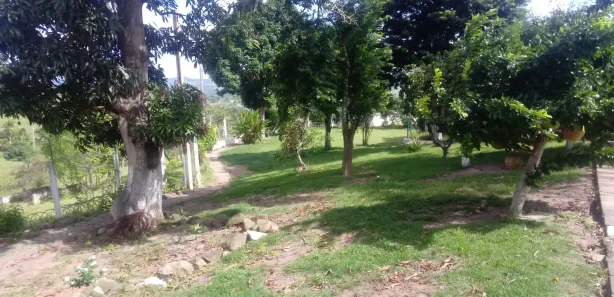 Fazenda / Sítio / Chácara com 4 Quartos à venda, 250000m² no Distrito Industrial (Prefeito José Augusto Ferrer de Morais), Vitória de Santo Antão