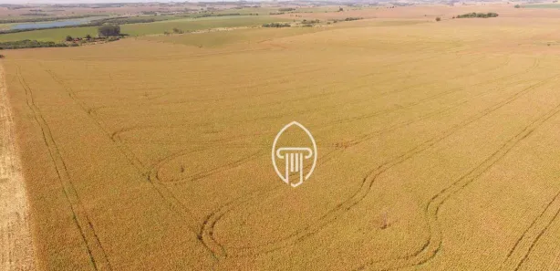 Fazenda / Sítio / Chácara à venda, 592900m² no , Leópolis