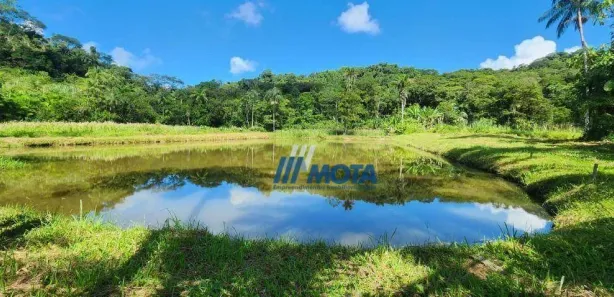 Fazenda / Sítio / Chácara com 3 Quartos à venda, 300m² no Rio do Cedro, Antonina