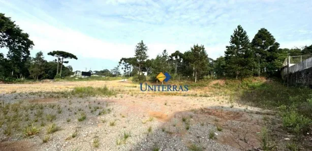 Galpão / Depósito / Armazém à venda, 793m² no Recanto Verde, Campina Grande do Sul