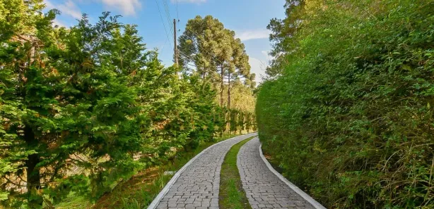 Fazenda / Sítio / Chácara com 4 Quartos à venda, 145000m² no Jardim Florestal, Campo Largo