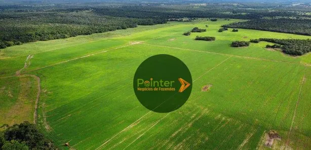 Fazenda / Sítio / Chácara à venda, 7000000m² no Setor Central, Gurupi